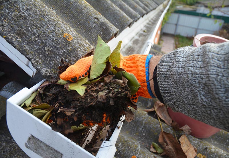 A man is cleaning a clogged roof gutter from dirt, debris and fa